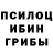 Галлюциногенные грибы GOLDEN TEACHER Kaptain Ufolog